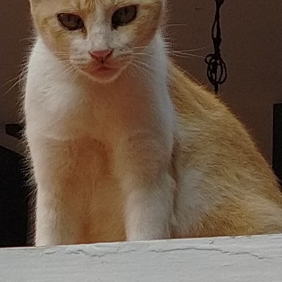 Happiness with Sport and Health DODDAIAH . E ಬೆಂಗಳೂರು post image