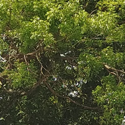 Family New DODDAIAH . E ಬೆಂಗಳೂರು post image