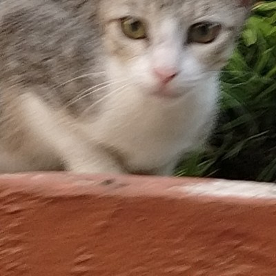 Happiness with Sport and Health DODDAIAH . E ಬೆಂಗಳೂರು post image