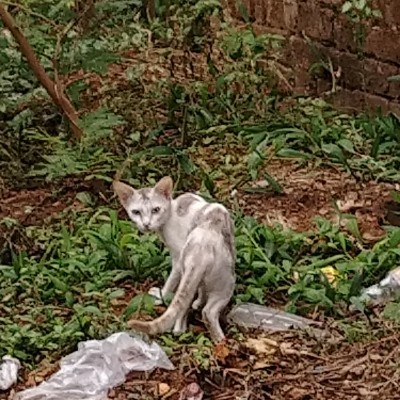 Family New DODDAIAH . E ಬೆಂಗಳೂರು post image