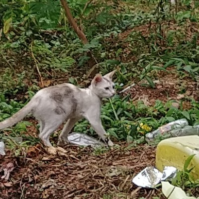 Family New DODDAIAH . E ಬೆಂಗಳೂರು post image