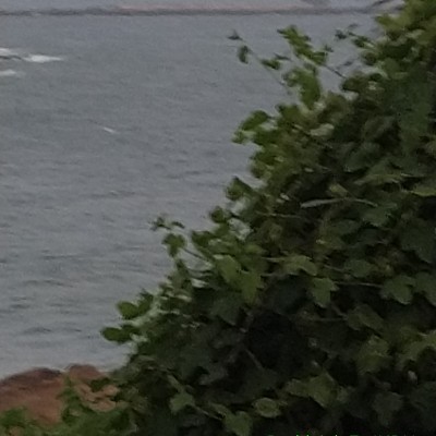 Hardwired for sleep DODDAIAH . E ಬೆಂಗಳೂರು post image