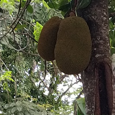 Hardwired for sleep DODDAIAH . E ಬೆಂಗಳೂರು post image