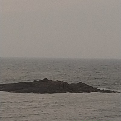 Hardwired for sleep DODDAIAH . E ಬೆಂಗಳೂರು post image