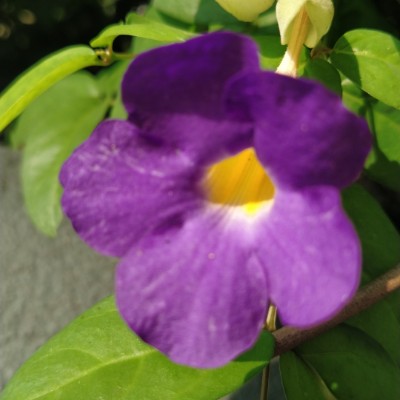 Hardwired for sleep DODDAIAH . E ಬೆಂಗಳೂರು post image