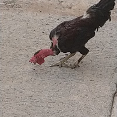 noida extension joggers! DODDAIAH . E ಬೆಂಗಳೂರು post image