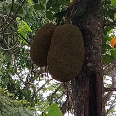 Hardwired for sleep DODDAIAH . E ಬೆಂಗಳೂರು post image