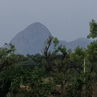 Hardwired for sleep DODDAIAH . E ಬೆಂಗಳೂರು post image