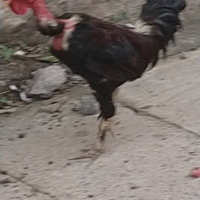 noida extension joggers! DODDAIAH . E ಬೆಂಗಳೂರು post image