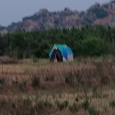 Hardwired for sleep DODDAIAH . E ಬೆಂಗಳೂರು post image