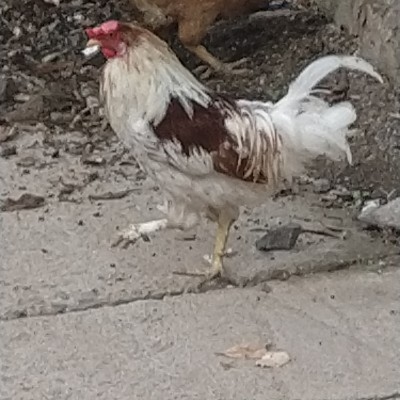 noida extension joggers! DODDAIAH . E ಬೆಂಗಳೂರು post image