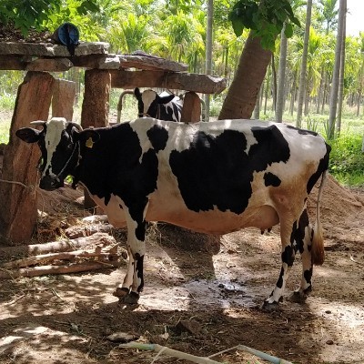 noida extension joggers! DODDAIAH . E ಬೆಂಗಳೂರು post image