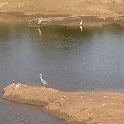 🇩🇪❤️Berlin❤️🇩🇪 DODDAIAH . E ಬೆಂಗಳೂರು post image