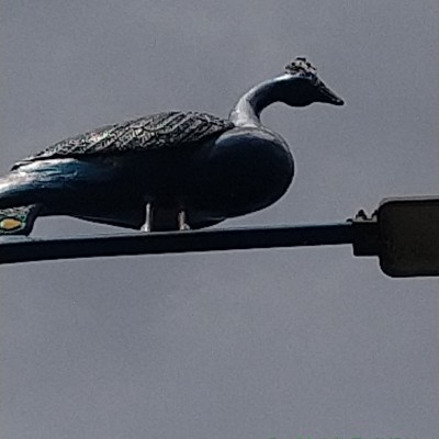 LET’S WALK DODDAIAH . E ಬೆಂಗಳೂರು post image