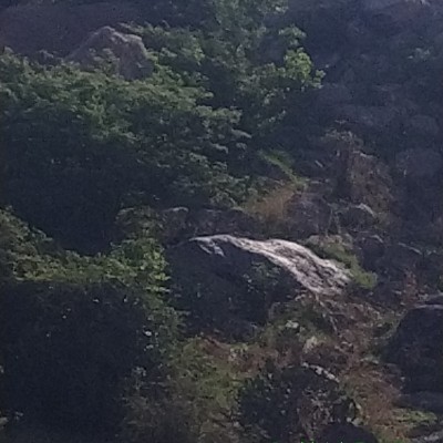 🇩🇪❤️Berlin❤️🇩🇪 DODDAIAH . E ಬೆಂಗಳೂರು post image