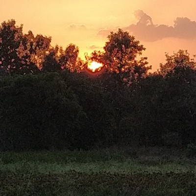 🇩🇪❤️Berlin❤️🇩🇪 DODDAIAH . E ಬೆಂಗಳೂರು post image