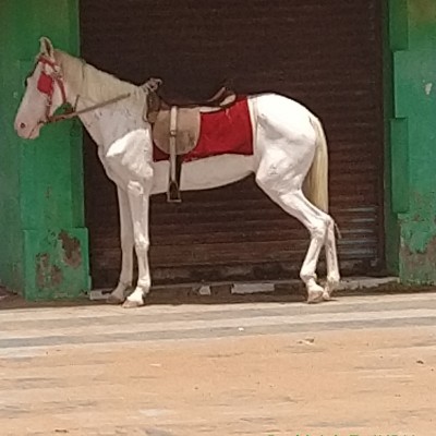 🇩🇪❤️Berlin❤️🇩🇪 DODDAIAH . E ಬೆಂಗಳೂರು post image