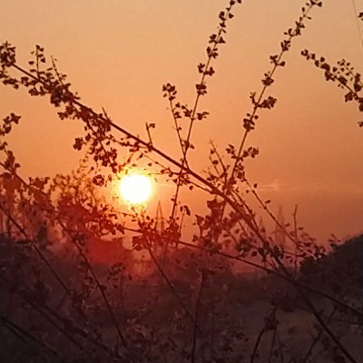 Sutton Fields _ 4B DODDAIAH . E ಬೆಂಗಳೂರು post image