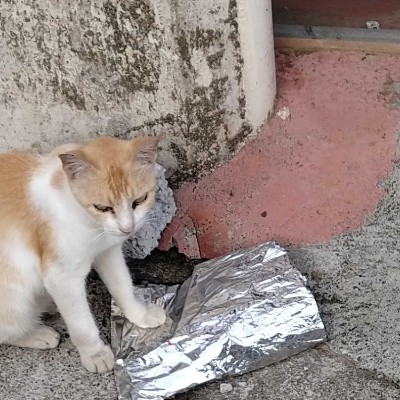 Corredores de Minas DODDAIAH . E ಬೆಂಗಳೂರು post image