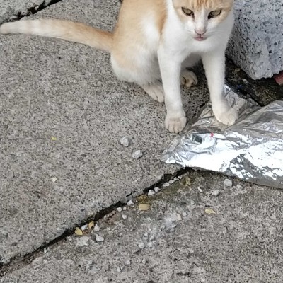 Corredores de Minas DODDAIAH . E ಬೆಂಗಳೂರು post image