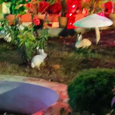 ARUN DODDAIAH . E ಬೆಂಗಳೂರು post image