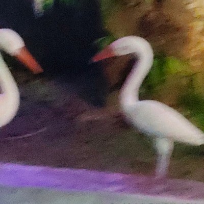 ARUN DODDAIAH . E ಬೆಂಗಳೂರು post image