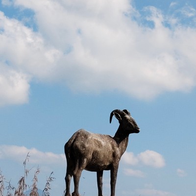 Witness the fitness ⭐️ DODDAIAH . E ಬೆಂಗಳೂರು post image