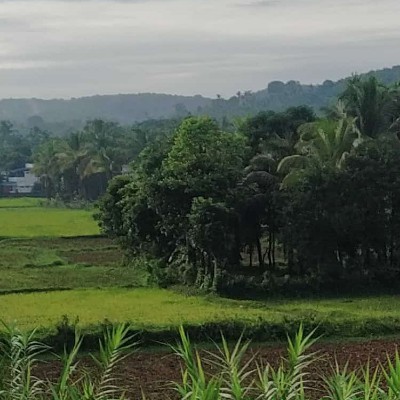 ЕКАТЕРИНБУРГ  FOREVER DODDAIAH . E ಬೆಂಗಳೂರು post image