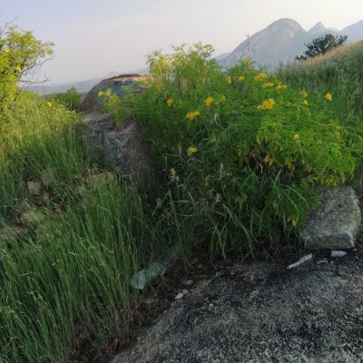 Верный шаг к лучшему! DODDAIAH . E ಬೆಂಗಳೂರು post image