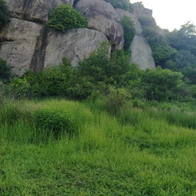 Верный шаг к лучшему! DODDAIAH . E ಬೆಂಗಳೂರು post image