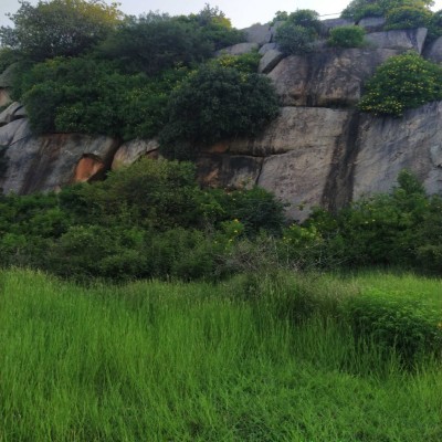 Верный шаг к лучшему! DODDAIAH . E ಬೆಂಗಳೂರು post image