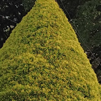 lazzy pple DODDAIAH . E ಬೆಂಗಳೂರು post image