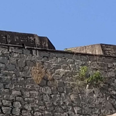 Step Slay Squad 10k Slay DODDAIAH . E ಬೆಂಗಳೂರು post image