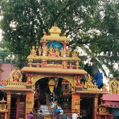 The unstoppable steps warriors DODDAIAH . E ಬೆಂಗಳೂರು post image