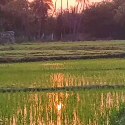 MOST STEPS DODDAIAH . E ಬೆಂಗಳೂರು post image