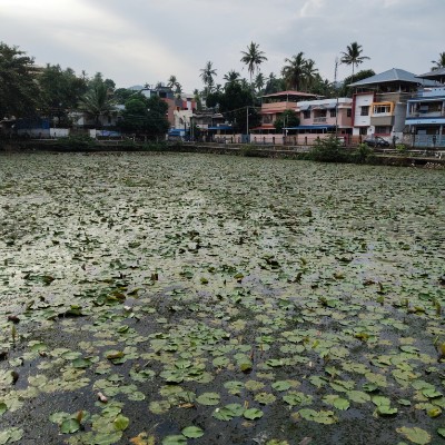 Bei Sonnenschein kann jeder! DODDAIAH . E ಬೆಂಗಳೂರು post image