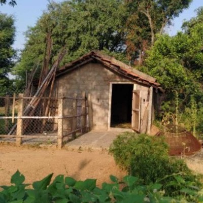 Bei Sonnenschein kann jeder! DODDAIAH . E ಬೆಂಗಳೂರು post image