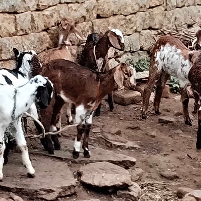 The unstoppable steps warriors DODDAIAH . E ಬೆಂಗಳೂರು post image