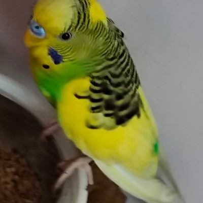 Friends of AngelGal_ DODDAIAH . E ಬೆಂಗಳೂರು post image