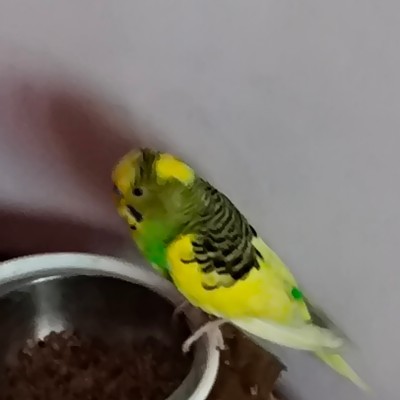 Friends of AngelGal_ DODDAIAH . E ಬೆಂಗಳೂರು post image