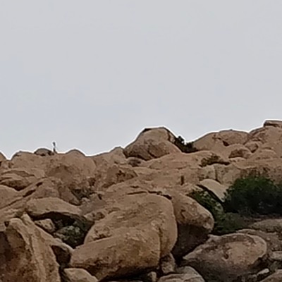 Київ - крокуємо на перегонки DODDAIAH . E ಬೆಂಗಳೂರು post image