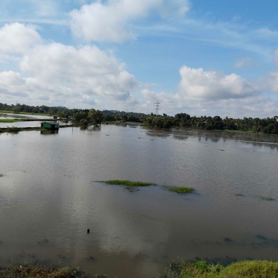 Тимон и Пумба DODDAIAH . E ಬೆಂಗಳೂರು post image