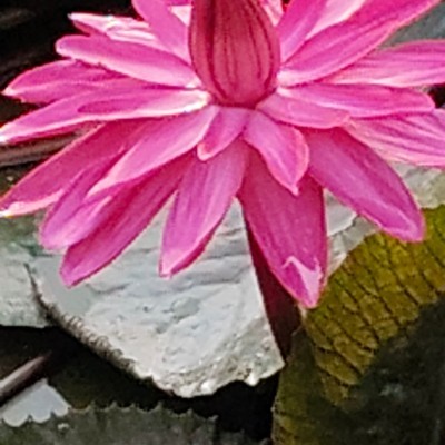 🚶🏻‍♀️Amici di Valeria🚶🏻‍♂️ DODDAIAH . E ಬೆಂಗಳೂರು post image