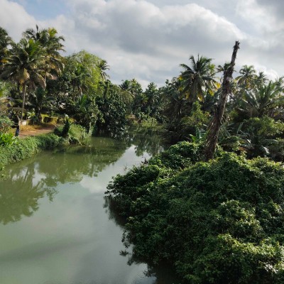 Тимон и Пумба DODDAIAH . E ಬೆಂಗಳೂರು post image