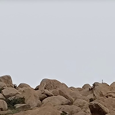 Київ - крокуємо на перегонки DODDAIAH . E ಬೆಂಗಳೂರು post image