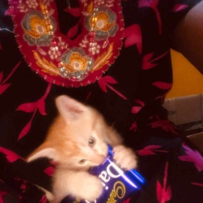 Apple Watch Facebook Group DODDAIAH . E ಬೆಂಗಳೂರು post image