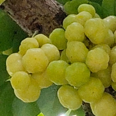 Верный шаг к лучшему! DODDAIAH . E ಬೆಂಗಳೂರು post image