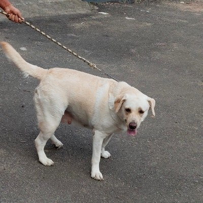 un pas devant l’autre DODDAIAH . E ಬೆಂಗಳೂರು post image