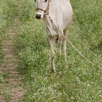 Верный шаг к лучшему! DODDAIAH . E ಬೆಂಗಳೂರು post image