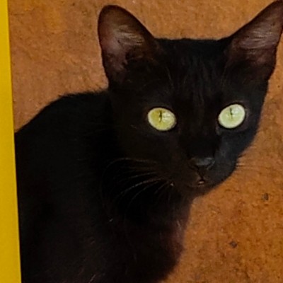 Под контролем DODDAIAH . E ಬೆಂಗಳೂರು post image